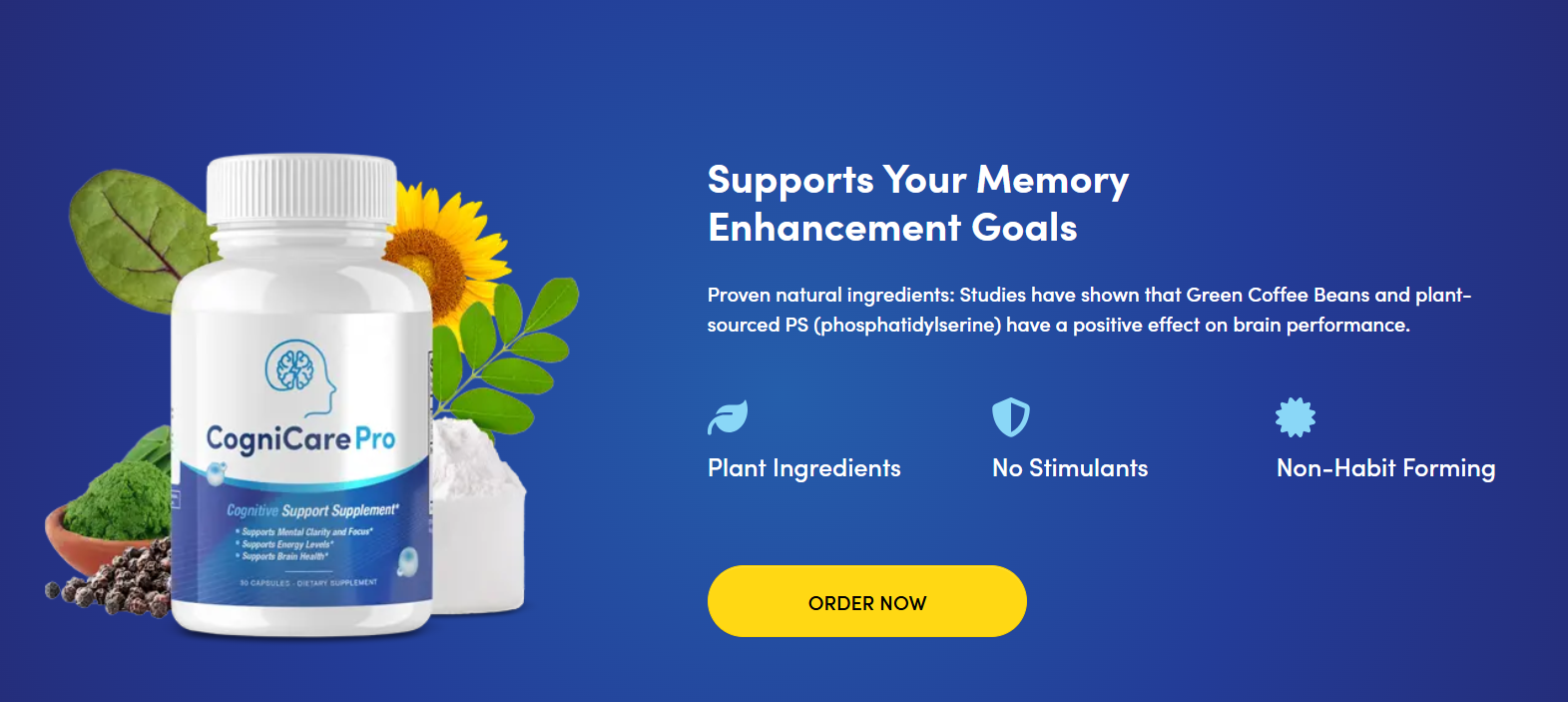 CogniCare Pro Review